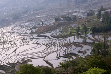 梯田