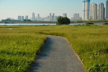 河道治理