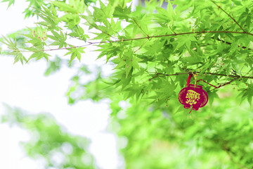 枫叶与中国式装饰