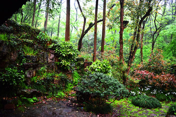 抱朴道院雨景