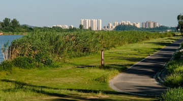 城市湿地