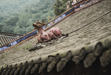 青城山佛教寺庙屋顶上的小鹿
