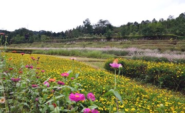 唐崖土司城