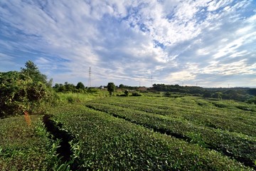 好天气