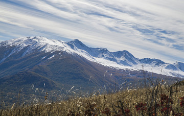 喀纳斯奎屯峰友谊峰雪山