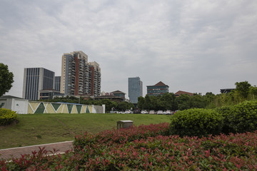九龙湖街区