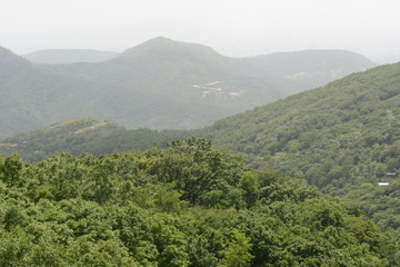 花果山