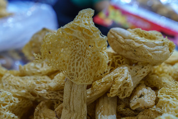 竹荪