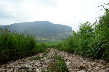 田野小路