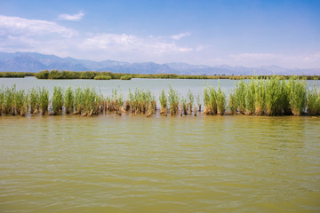 沙湖