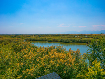 宁夏沙湖