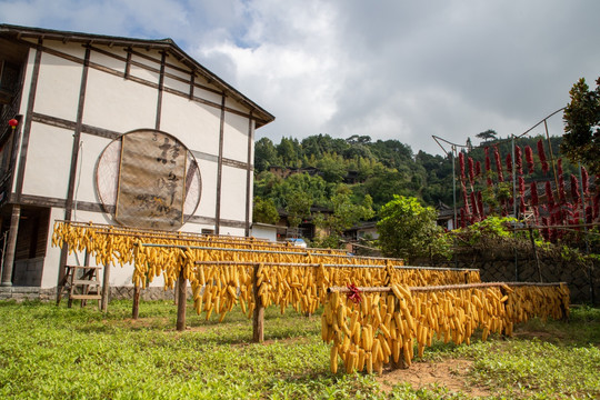 桂峰村