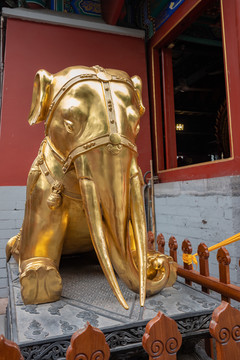 寺庙门口的铜象