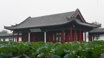 大明湖荷花雨荷厅古建筑