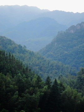 山区