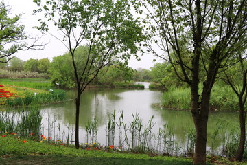 西溪湿地