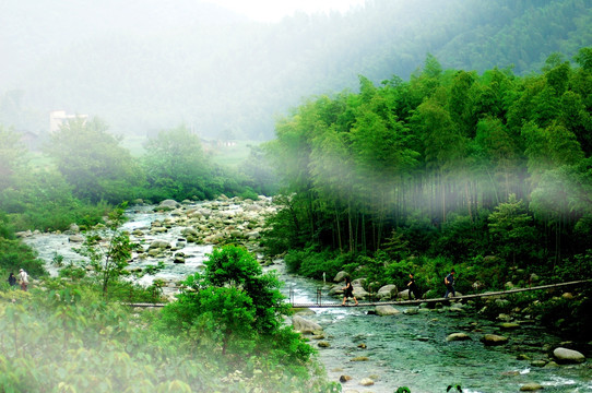 山峡翠竹