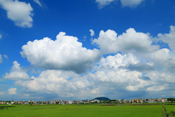 希望的田野