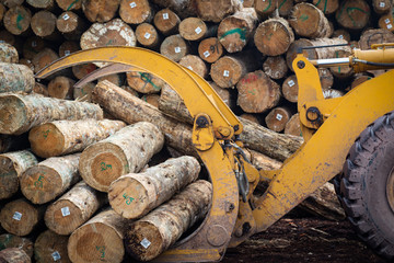 木材运输厂运输木材