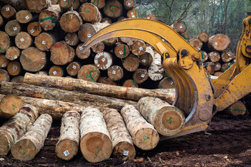 木材运输厂运输木材