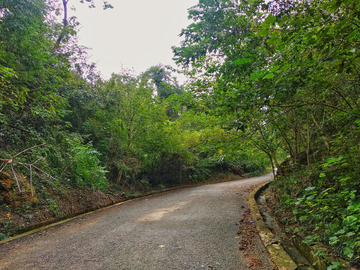 公园道路