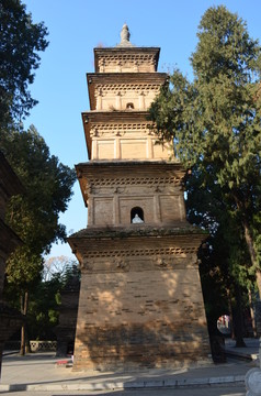 唐三藏法师塔