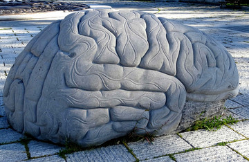 雕塑大脑