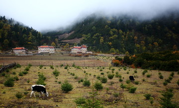 上子梅村