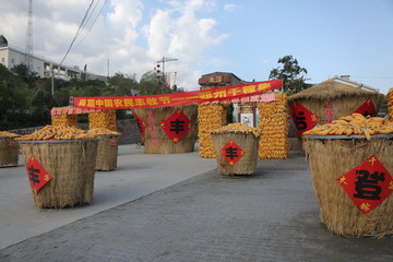 庆祝中国农民丰收节