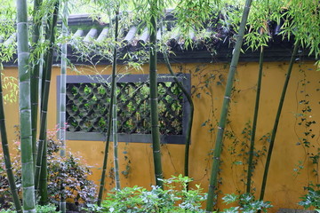 古墙与翠竹