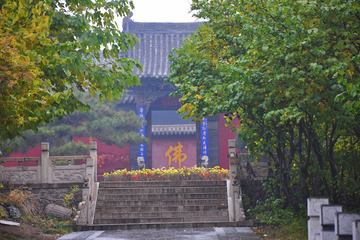 晋祠园林秋景摄影图片