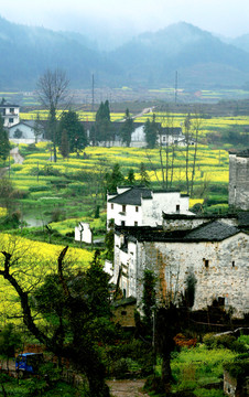 风景画