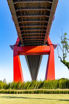 杨浦大桥