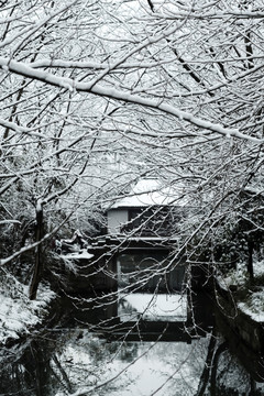 杭州雪景