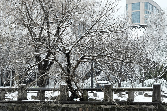 运河两岸