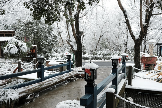 西溪初雪