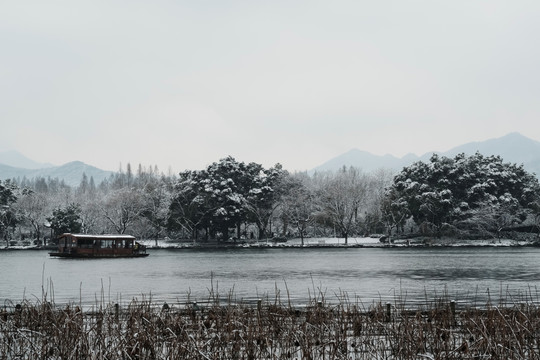 游西湖