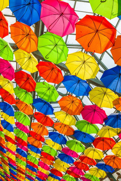 吊顶彩色装饰雨伞