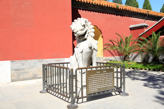 中山公园石狮