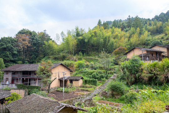 桂峰村