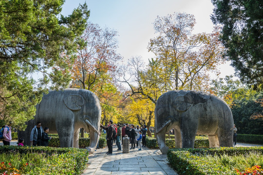 南京明孝陵