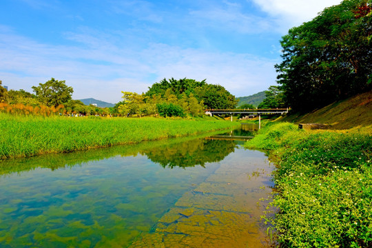 深圳福田河