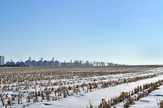 冰雪田园