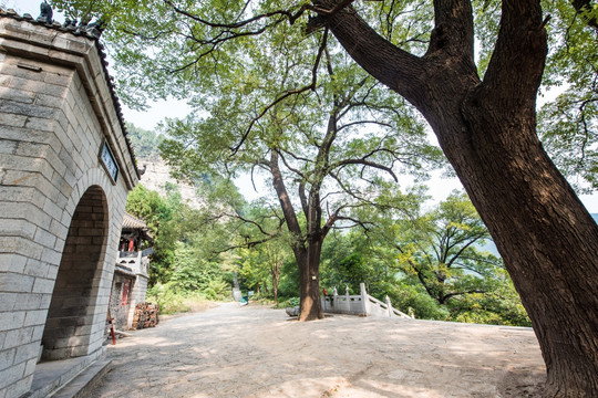 山东青州文殊寺