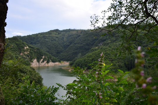 花草掩映中的青山绿水