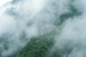 云雾深山