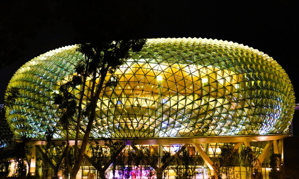 新加坡滨海湾艺术中心大榴莲