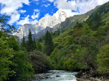 四姑娘山森林河流