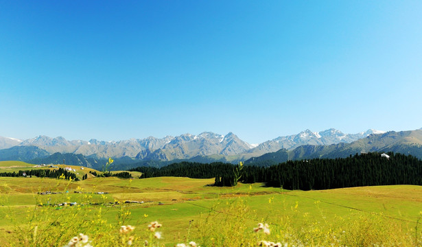 新疆天山风光