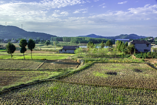 乡村田野